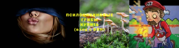 бошки Абинск