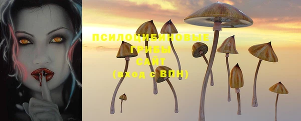 бошки Абинск