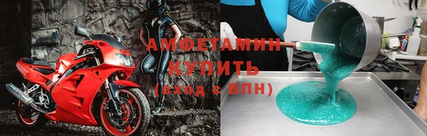 мет Алексин