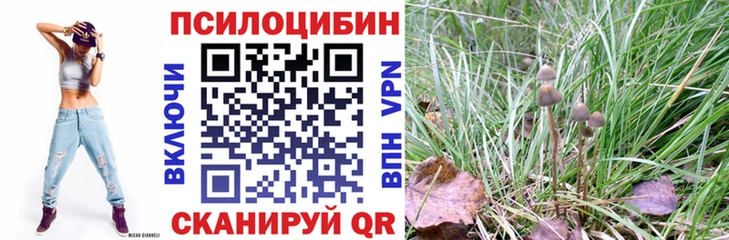 как найти наркотики  Мамадыш  Галлюциногенные грибы GOLDEN TEACHER 